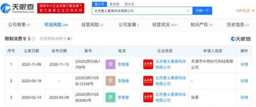 人人車關(guān)聯(lián)公司被限制消費 計算機軟硬件開發(fā)的挑戰(zhàn)與反思